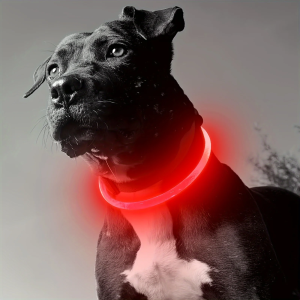 LED Light Up Collar